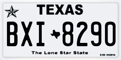 TX license plate BXI8290