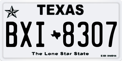 TX license plate BXI8307