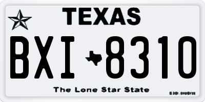 TX license plate BXI8310