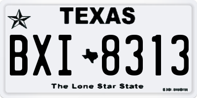 TX license plate BXI8313