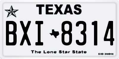 TX license plate BXI8314