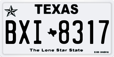 TX license plate BXI8317