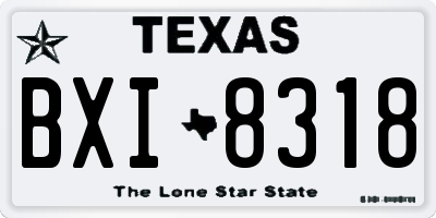TX license plate BXI8318