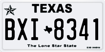 TX license plate BXI8341
