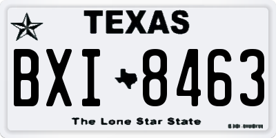 TX license plate BXI8463