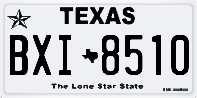 TX license plate BXI8510