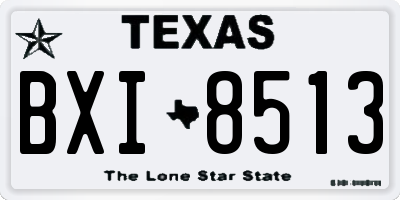 TX license plate BXI8513