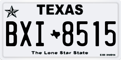 TX license plate BXI8515