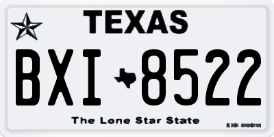 TX license plate BXI8522