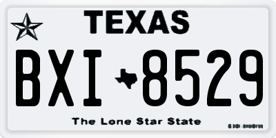 TX license plate BXI8529