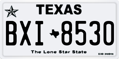 TX license plate BXI8530