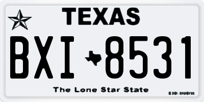 TX license plate BXI8531