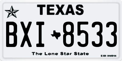 TX license plate BXI8533