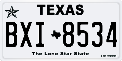 TX license plate BXI8534