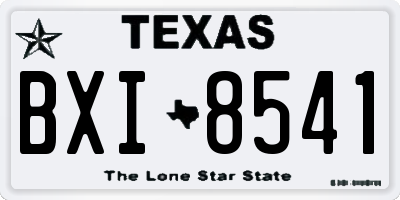 TX license plate BXI8541