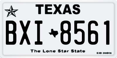 TX license plate BXI8561