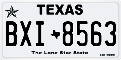 TX license plate BXI8563