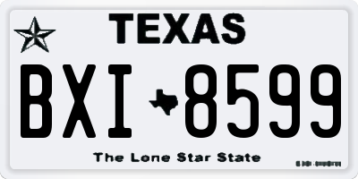 TX license plate BXI8599