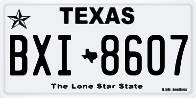 TX license plate BXI8607