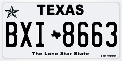 TX license plate BXI8663