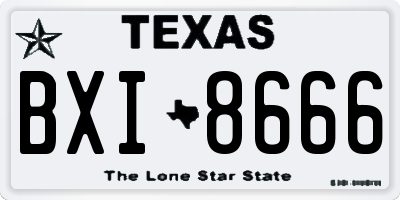 TX license plate BXI8666