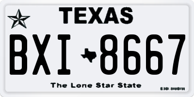 TX license plate BXI8667
