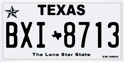 TX license plate BXI8713