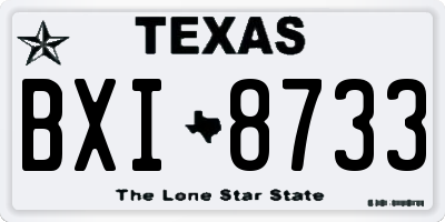 TX license plate BXI8733