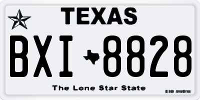 TX license plate BXI8828