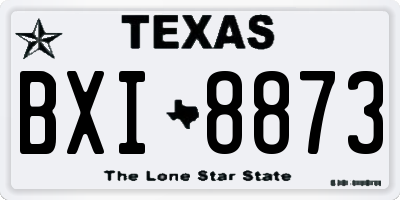 TX license plate BXI8873