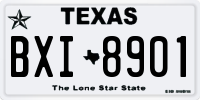 TX license plate BXI8901