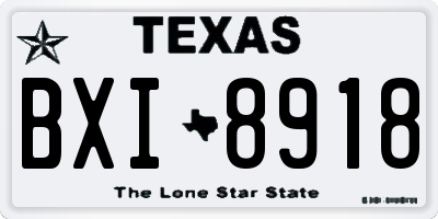 TX license plate BXI8918