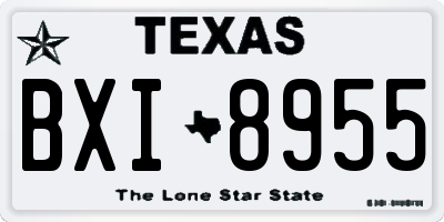 TX license plate BXI8955