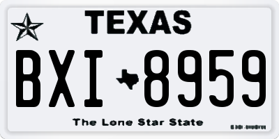 TX license plate BXI8959