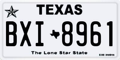 TX license plate BXI8961