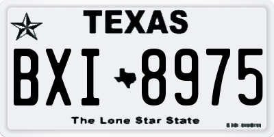 TX license plate BXI8975