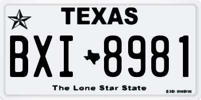TX license plate BXI8981