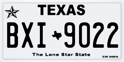 TX license plate BXI9022