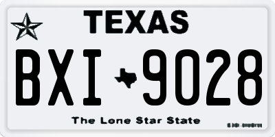 TX license plate BXI9028