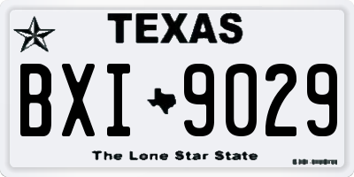 TX license plate BXI9029