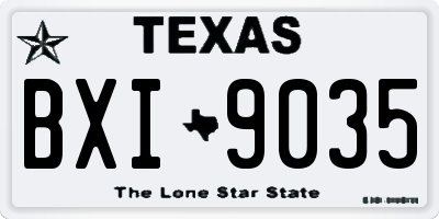 TX license plate BXI9035