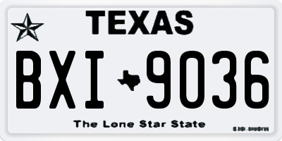 TX license plate BXI9036