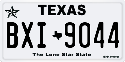 TX license plate BXI9044