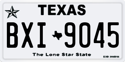 TX license plate BXI9045