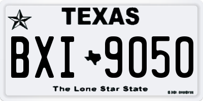 TX license plate BXI9050