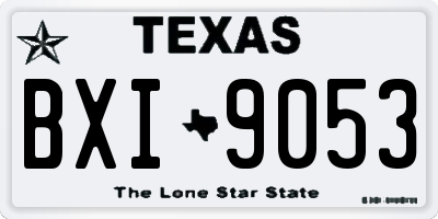 TX license plate BXI9053