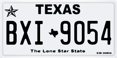 TX license plate BXI9054