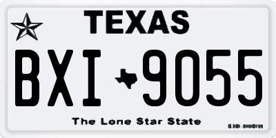 TX license plate BXI9055