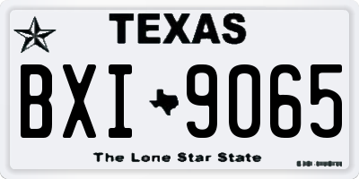 TX license plate BXI9065