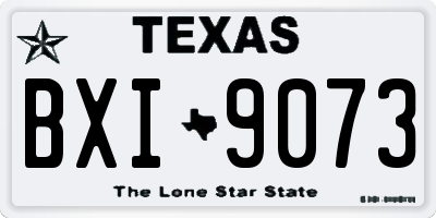 TX license plate BXI9073